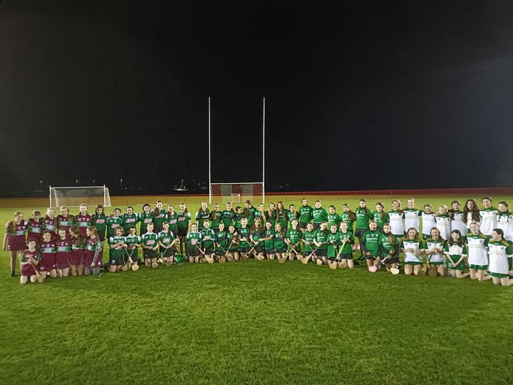 U14 Camogie team photo including 4 other teams on the Owenbeg pitches
